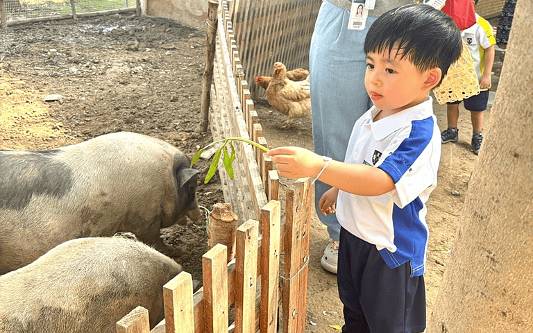  Brighton Prep Pupils at farm  