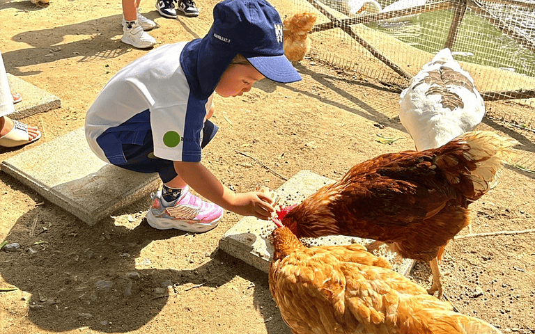  Brighton Prep Pupils learn with fun  