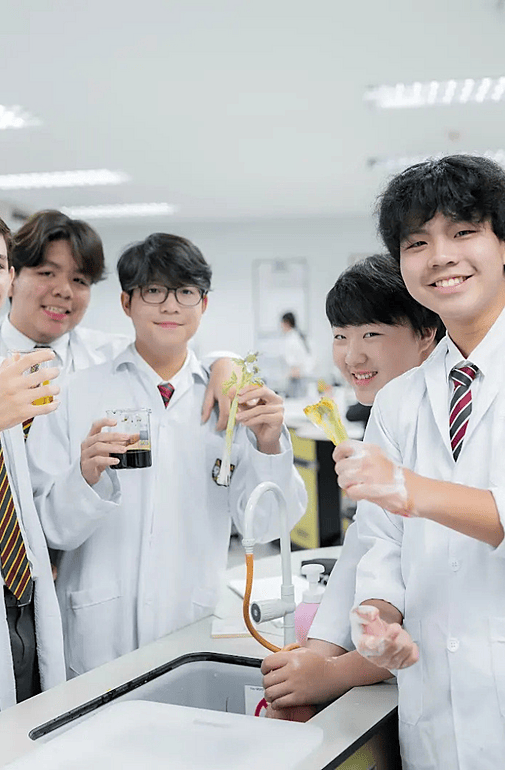  Website Picture  (4) 